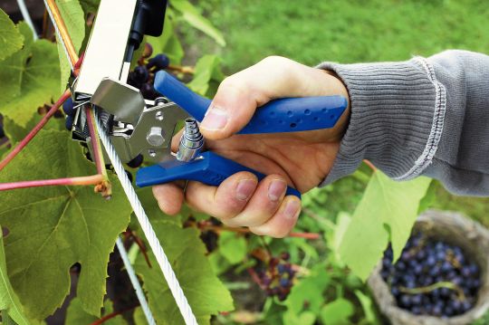 Vine pliers